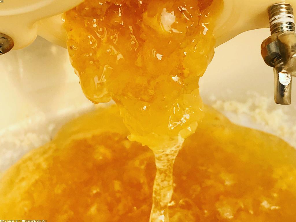 ការស្រាវជ្រាវផ្លែឈើស្លត