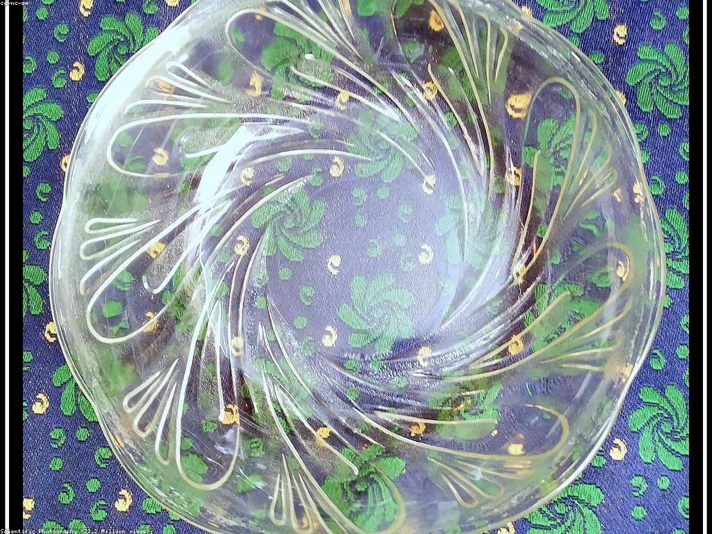 ការពិពណ៌នាអំពីផ្លែឈើស្លត​​