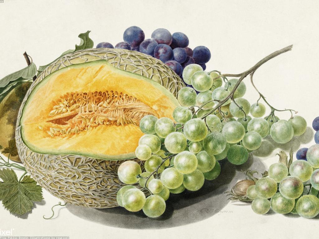 វិធីធ្វើផ្លែឈើស្លត