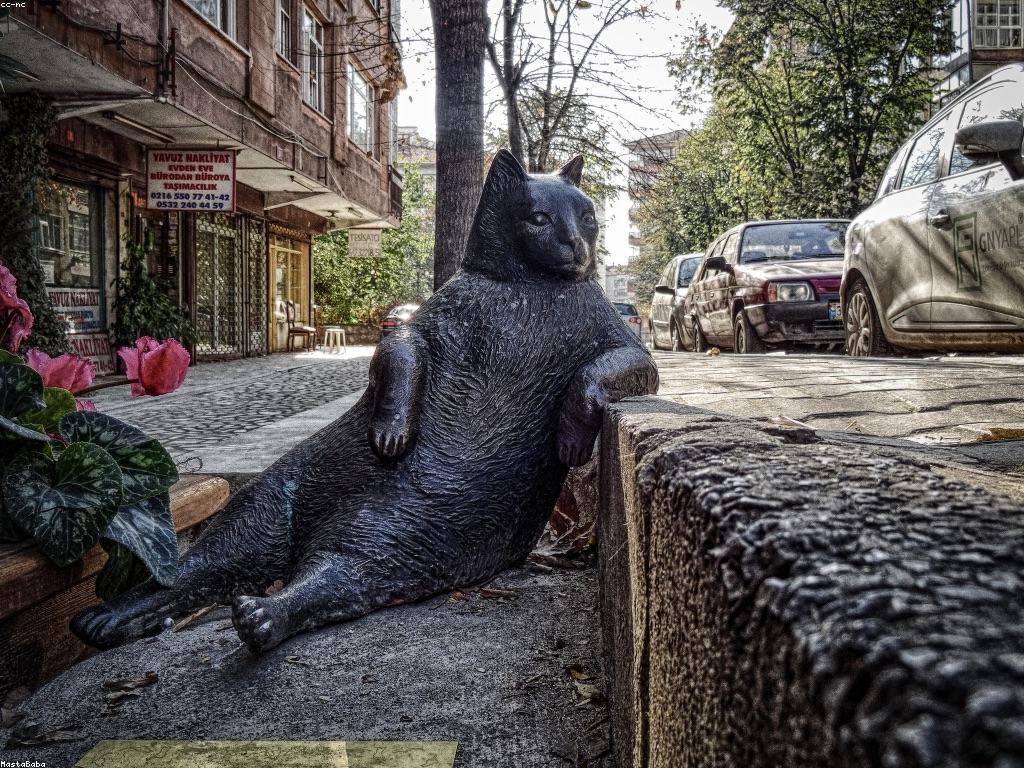 អត្ថប្រយោជន៍នៃការស្រាវជ្រាវផ្លែឈើស្លត