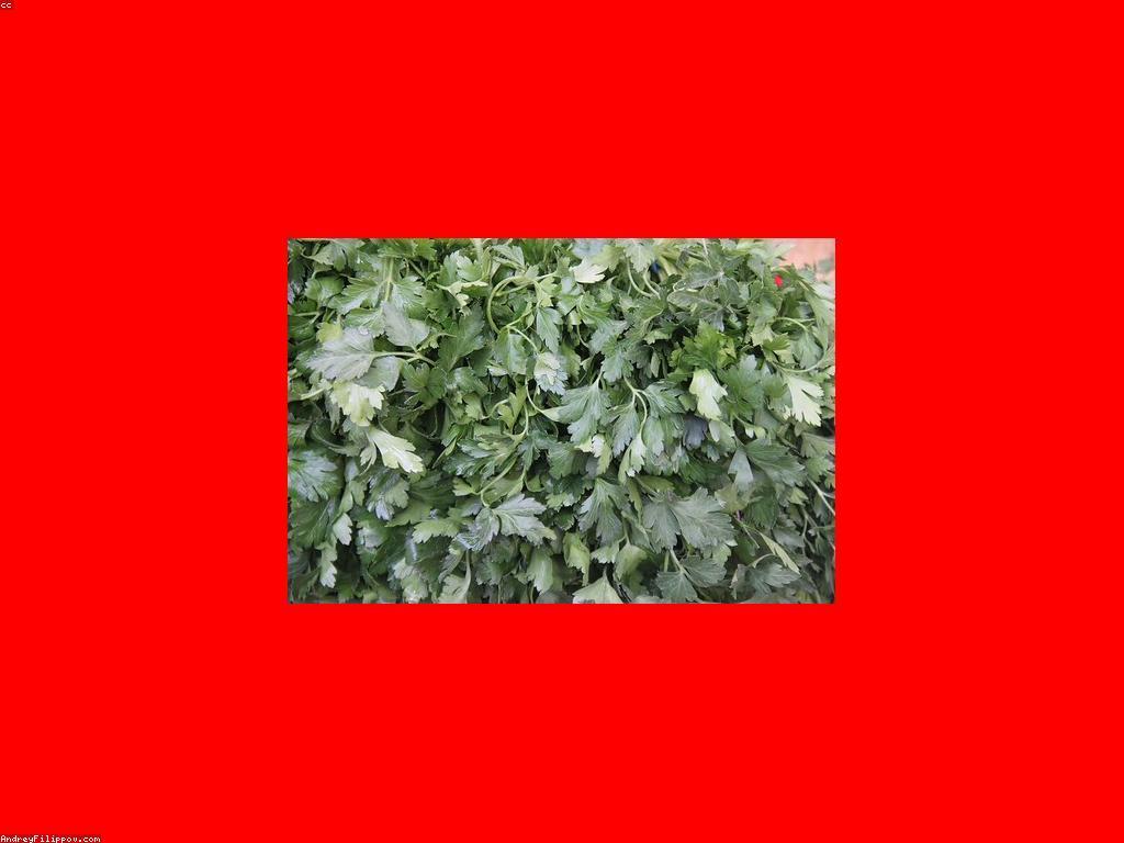 វិធីធ្វើផ្លែឈើស្លតឈ្ងុយឈ្ងាញ់ជាមួយស្នាមជើងផ្លែឈើ