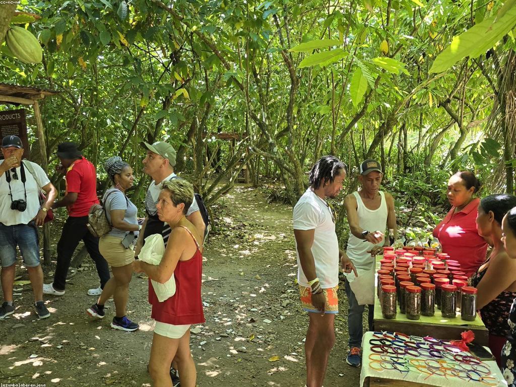 ការស្រាវជ្រាវផ្លែឈើស្លត: ការសម្របសម្រួលរបស់ធម្មជាតិ និងវិជ្ជាជីវៈ