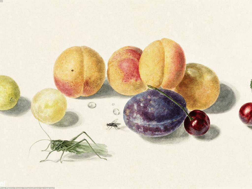 វិធីធ្វើផ្លែឈើស្លត