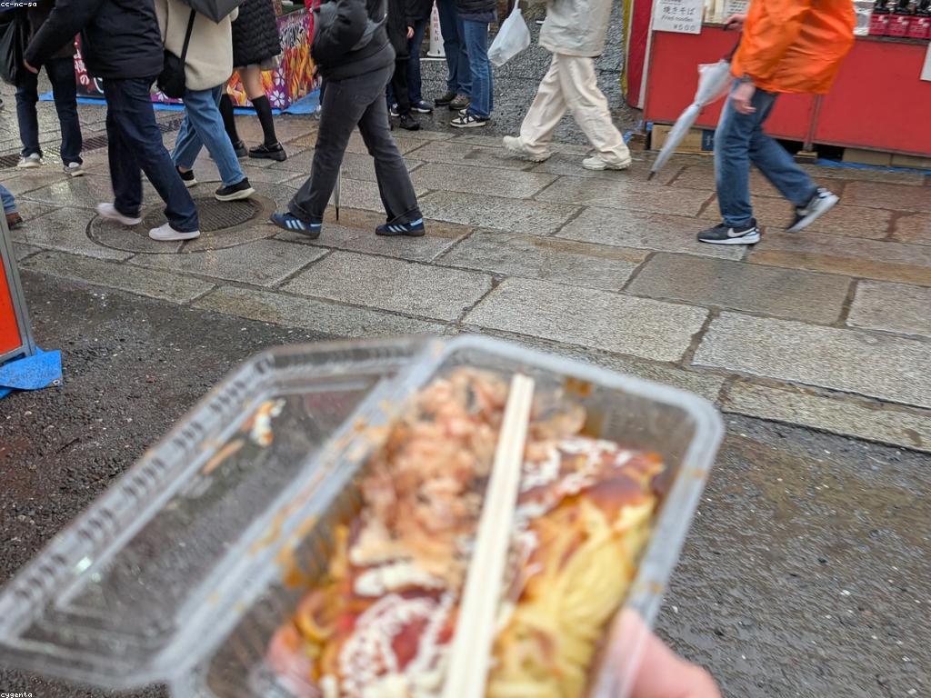 ការពិពណ៌នាអំពីផ្លែឈើស្លត​​