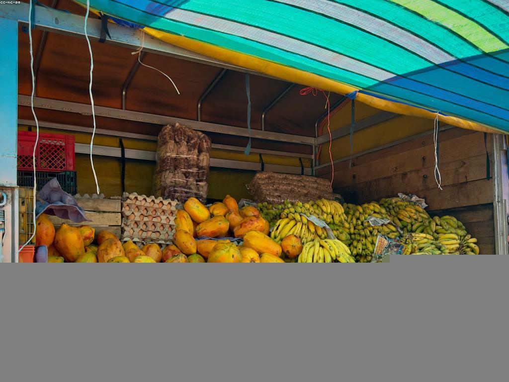 កន្លែងលក់ផ្លែឈើស្លត: របៀបស្វែងរកនិងជ្រើសរើស