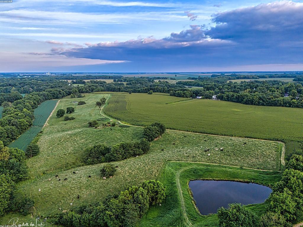 ការស្រាវជ្រាវផ្លែឈើស្លត: ការវិភាគនិងការអភិវឌ្ឍ