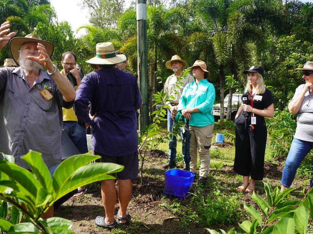 ការស្រាវជ្រាវផ្លែឈើស្លត: ការវិភាគនិងការអភិវឌ្ឍ